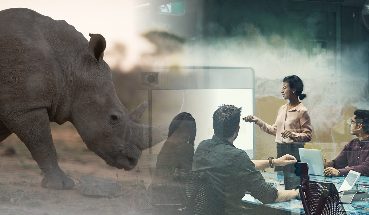 Ten Years After: Why the Gray Rhino is Still a Serious Risk