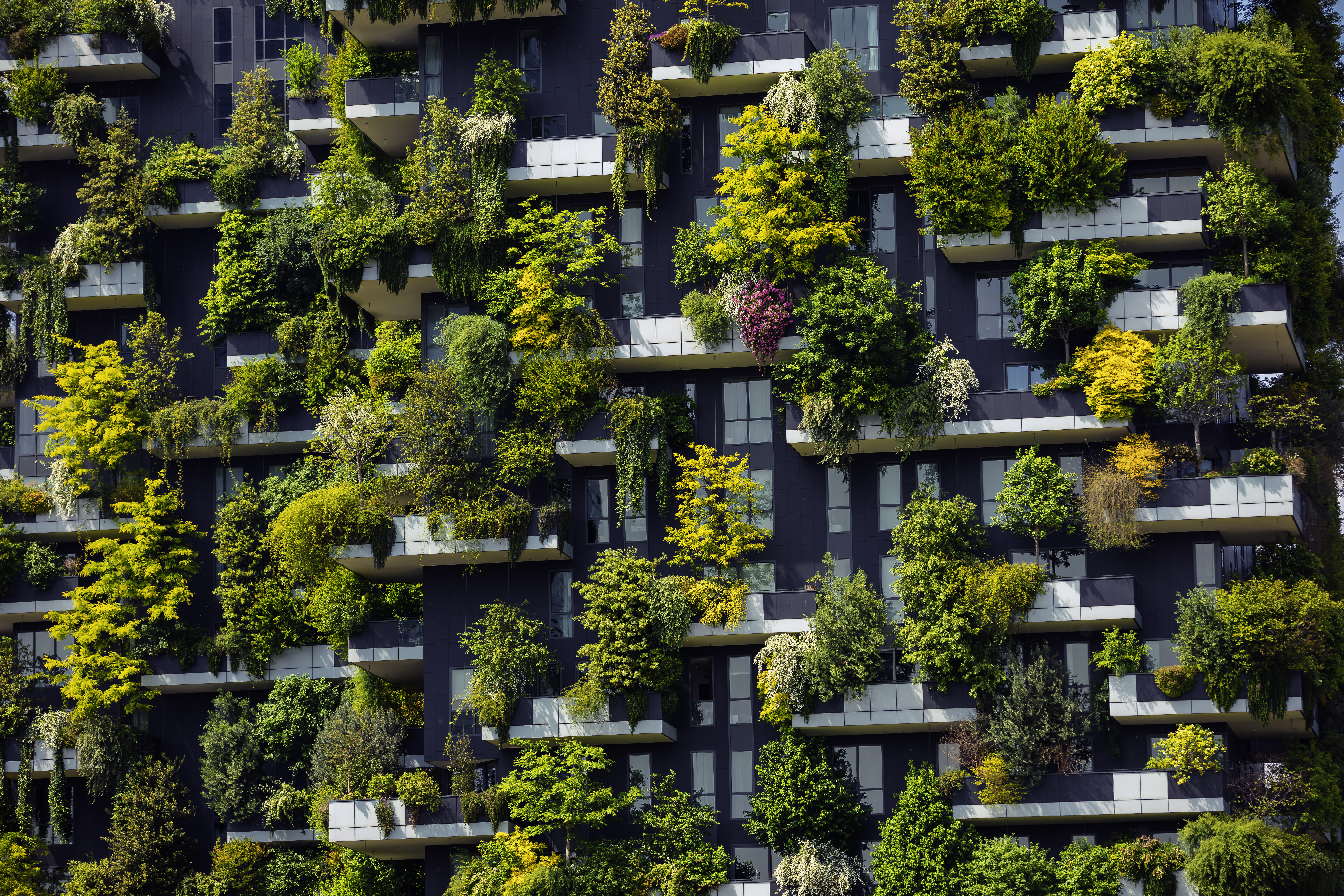 Biodiversity Data Is Finance's Next Credibility Test