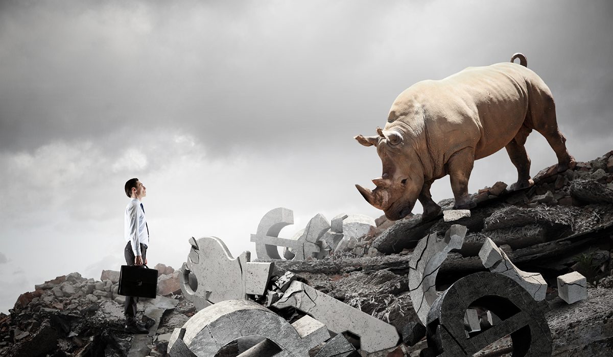 Wrangling the Gray Rhino Before It Tramples Your Risk Strategy