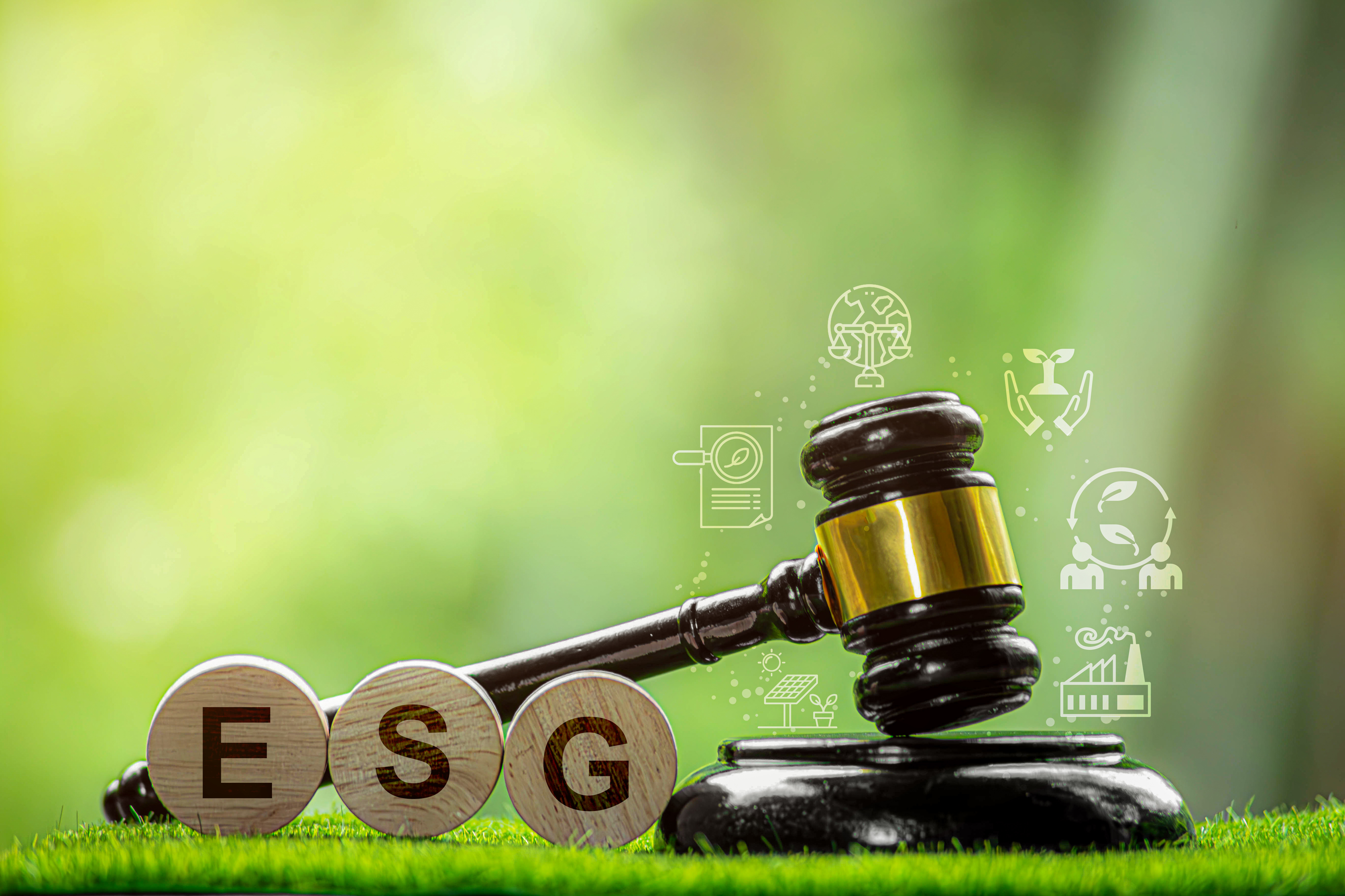 Europe's ESG Rules Trap Firms Between Burden and Uncertainty