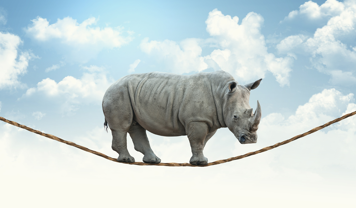 The Gray Rhino and The Power of Language 