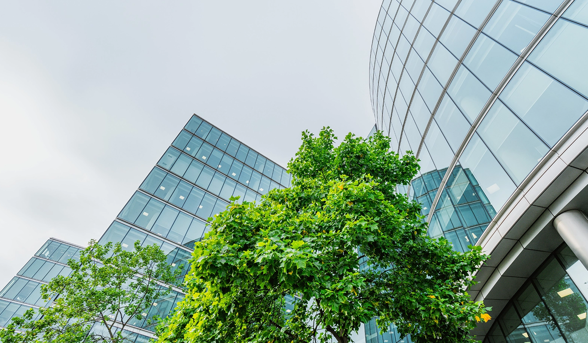 How Leadership Decisions Define Resilience Why systems fail when leadership trade-offs create fragility