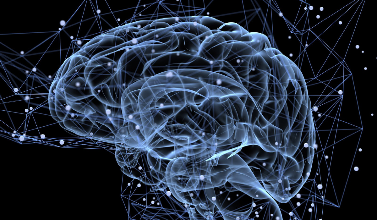 Why Treasury Is Now the Brain, Not the Bookkeeper, of the Balance Sheet