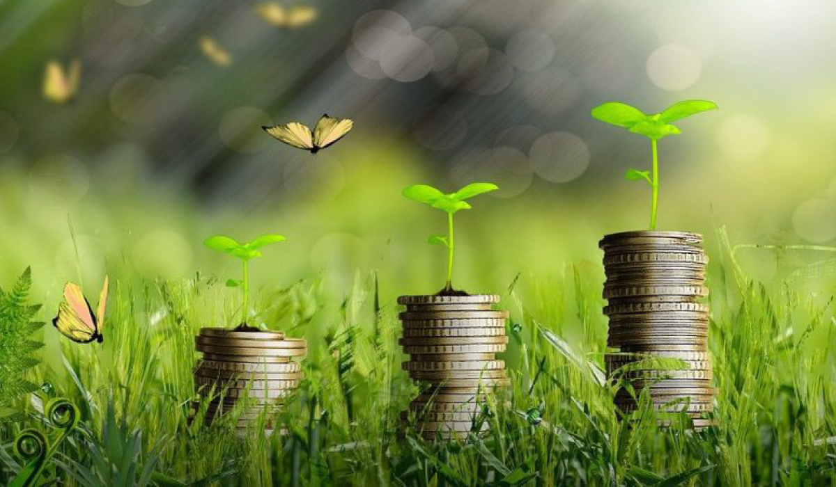 Green Capital Alone Won’t Save Climate Finance