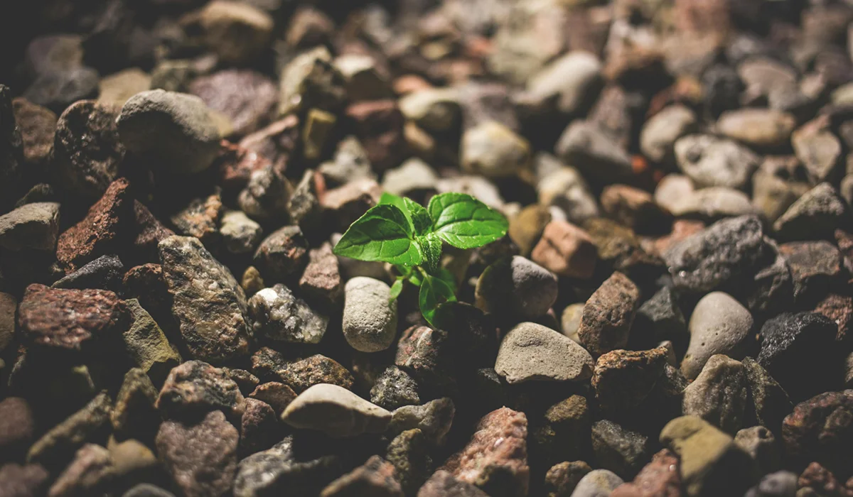 Turning Climate Risk Into Resilience Investment Opportunities